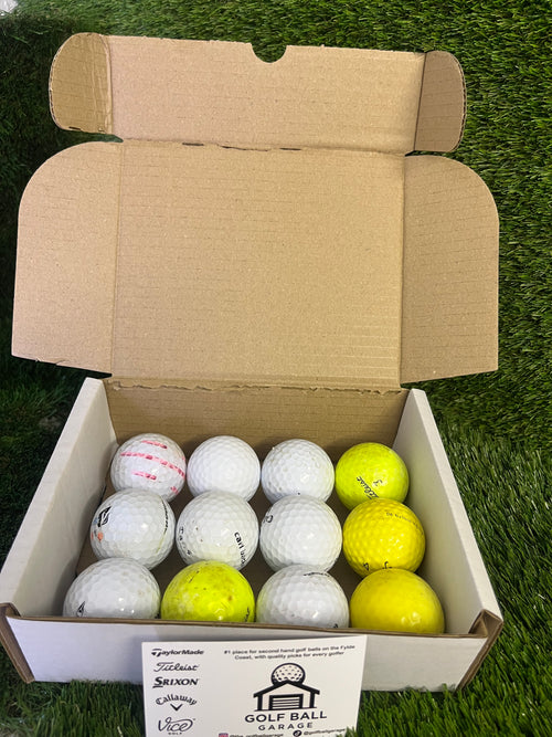 Back Yard Bundle